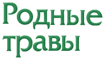 Родные травы. Надпись травой. Родные травы РФ интернет магазин. Пена родные травы.