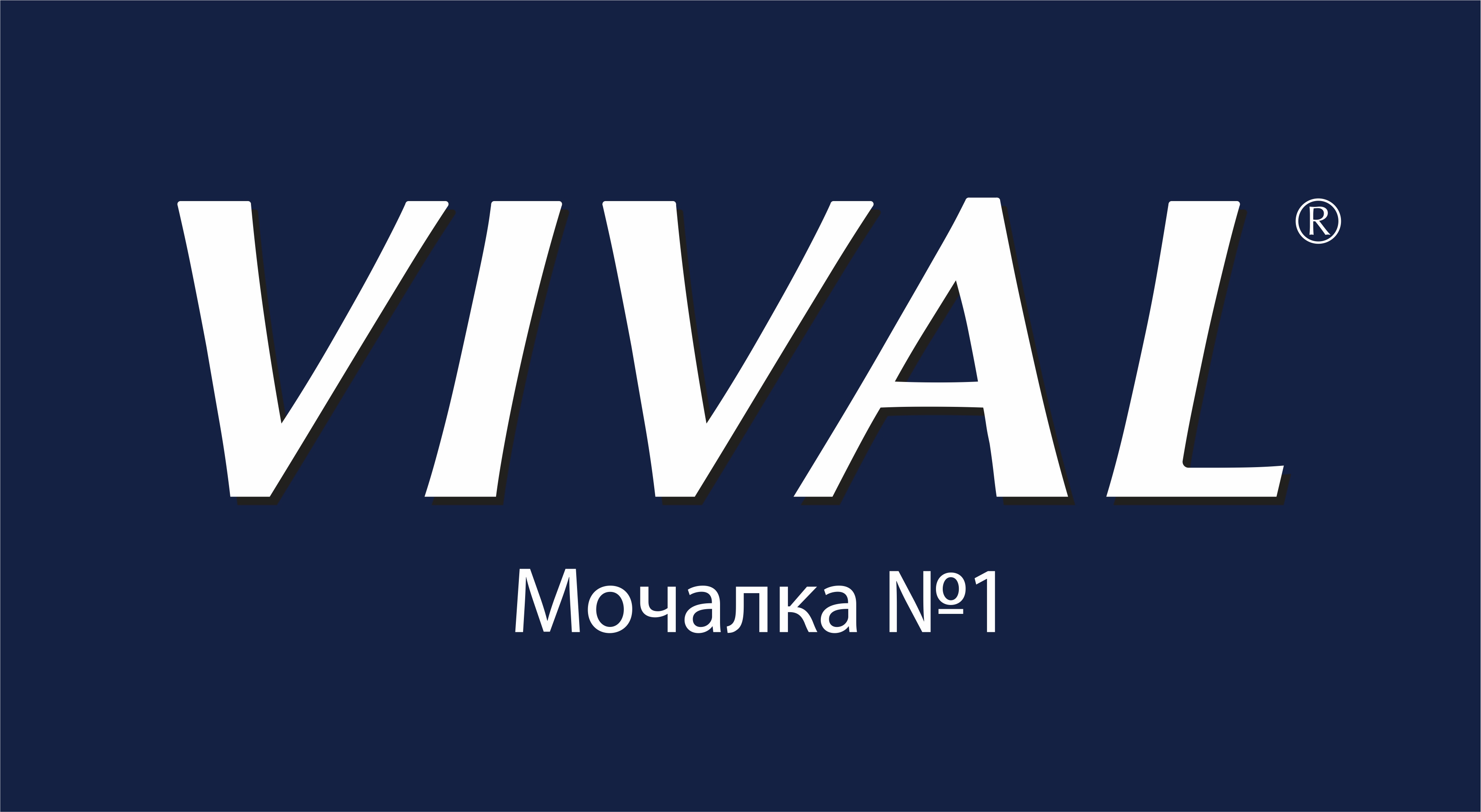 Bank Vival